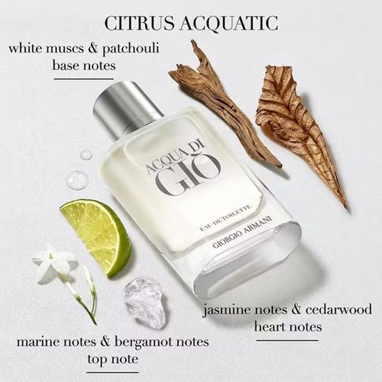 Giorgio Armani Acqua Di Gio Eau De Toilette 100ml