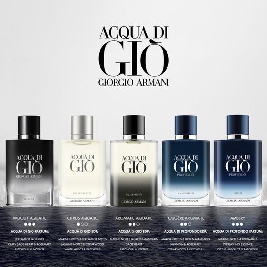Giorgio Armani Acqua Di Gio Profondo Parfum Eau De Parfum 200ml