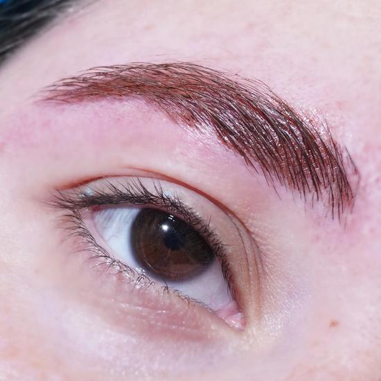 Glisten Cosmetics Chestnut Brown Spectra Brow Brow Cream