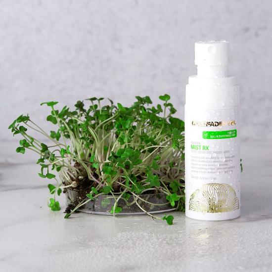 Goldfaden MD Mist RX Daily Nutrient Facial Mist 80ml
