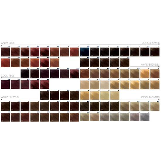 Goldwell Topchic Permanent Hair Colour 6MB