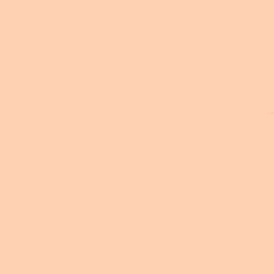 GUERLAIN Terracotta Concealer 2 5N Neutral