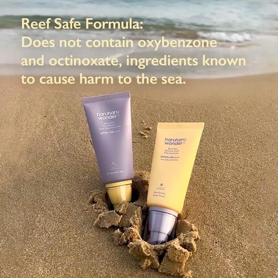 Haruharu Wonder Black Rice Moisture Airyfit Daily Sunscreen SPF 50+