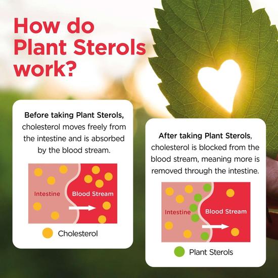 Healthspan Plant Sterols Cholesterol Support Tablets 90 Tablets