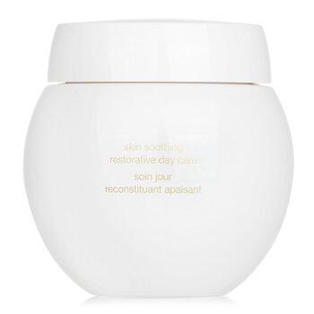 Helena Rubinstein Re-Plasty Age Recovery Day Cream 50ml