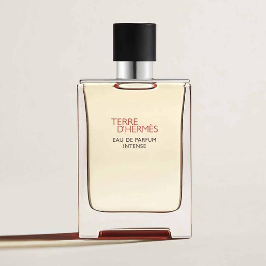 Hermès Terre d'Hermes Eau De Parfum Intense 50ml