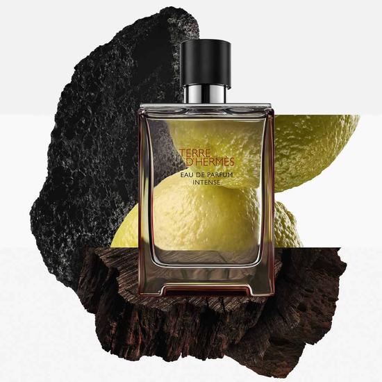 Hermès Terre d'Hermes Eau De Parfum Intense 50ml