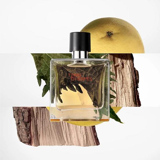 Hermès Terre d'Hermes Pure Perfume 75ml