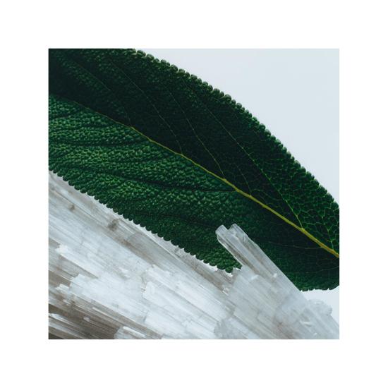 Jo Malone London Wood Sage & Sea Salt Body & Hand Wash 250ml