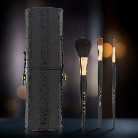 Joan Collins Good To Go Brush Caddy With 3 Brushes