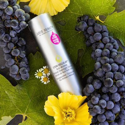 Juice Beauty STEM CELLULAR Anti-Wrinkle Retinol Serum 30ml