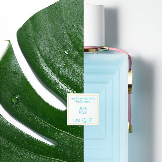 Lalique Les Compositions Parfumees Blue Rise Eau De Parfum 100ml