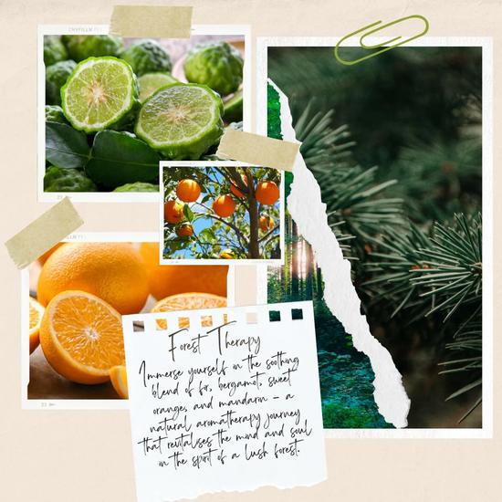 Made By Coopers Forest Therapy Aromatherapy Perfume Oil