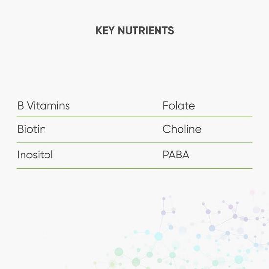 Nutri Advanced High Strength Vitamin B Complex Capsules Cosmetify