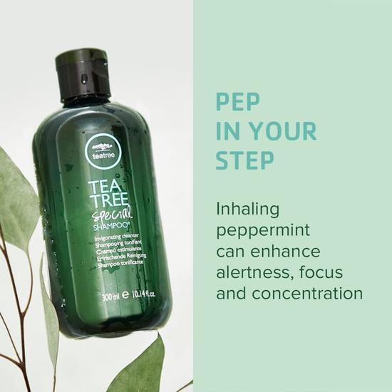 Paul Mitchell Tea Tree Special Shampoo 300ml
