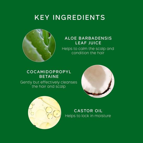 Philip Kingsley Kits Healthy Hair & Scalp Starter Kit
