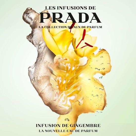 Prada Infusion De Gingembre Eau De Parfum 100ml