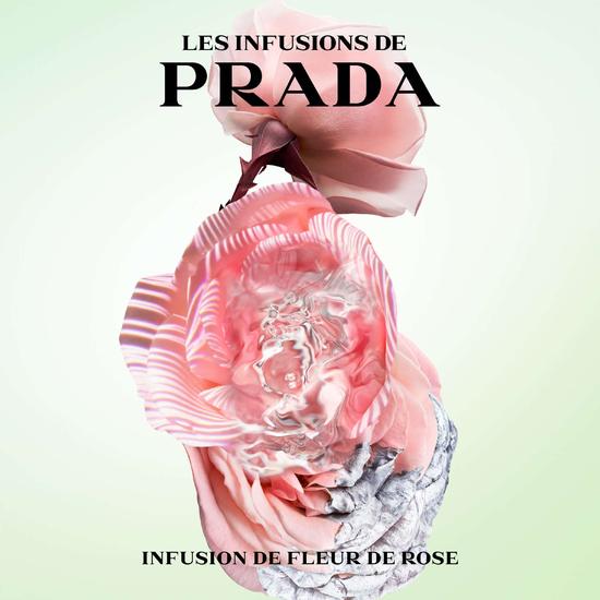 Prada Infusion De Rose Eau De Parfum 100ml
