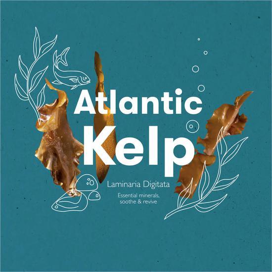 REN Atlantic Kelp & Magnesium Energising Hand Lotion 300ml