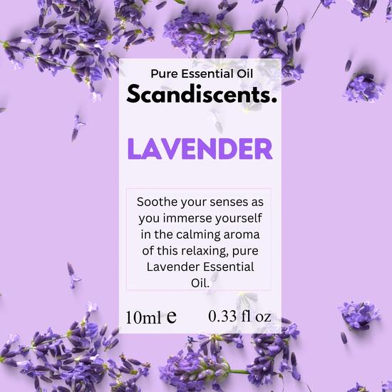 Scandiscents Lavender Essential Oil For Sleep & Relaxation