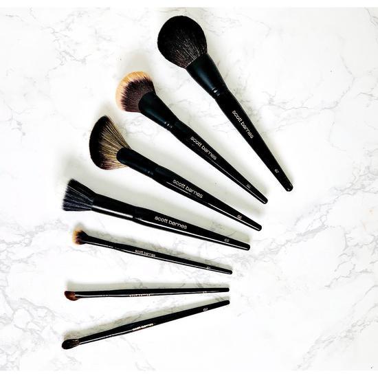 Scott Barnes Powder Sheer Brush #66