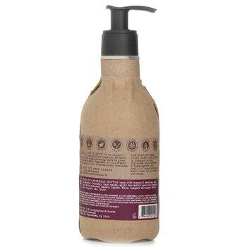 Seed Phytonutrients Colour Care Conditioner 250ml
