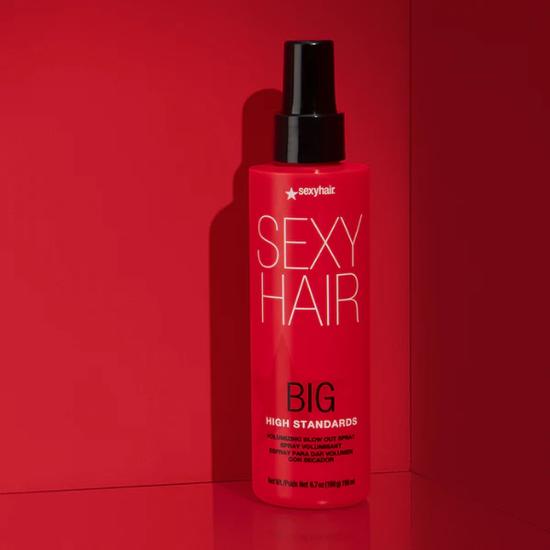 Sexy Hair Big High Standards 200ml