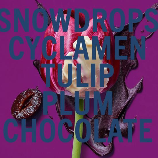 Shay & Blue Black Tulip Fragrance 10ml