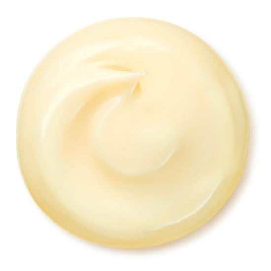 Shiseido Benefiance Wrinkle Smoothing Cream 50ml