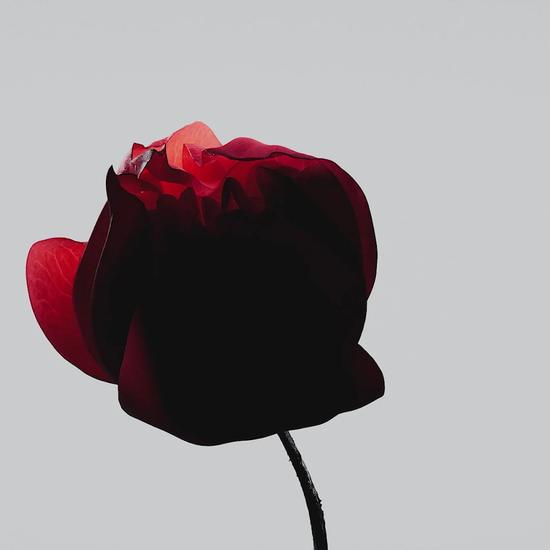 Shiseido Ultimune Power Infusing Serum 30ml