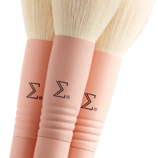 Sigma Beauty Christen Dominique Brush Set