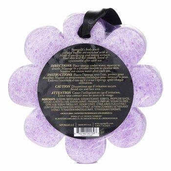 Spongelle Wild Flower Soap Sponge French Lavender 1pc