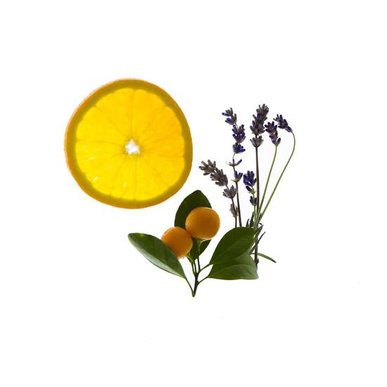 Spritz Wellness Relax Atmosphere Mist 100ml