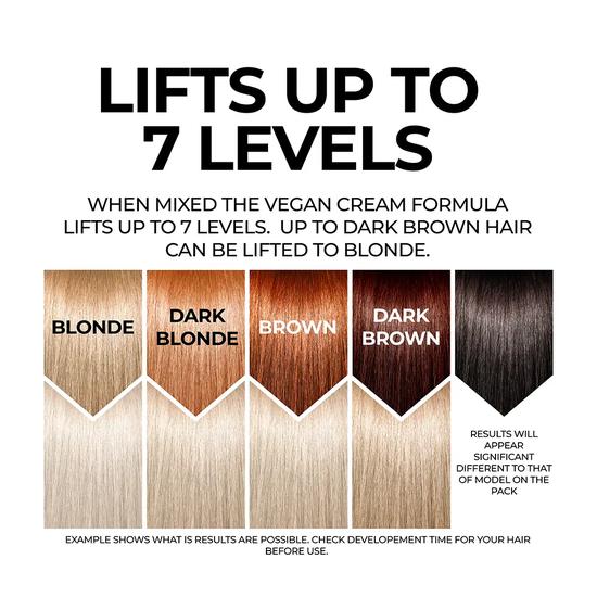 Stargazer Vegan Hair Bleach Kit