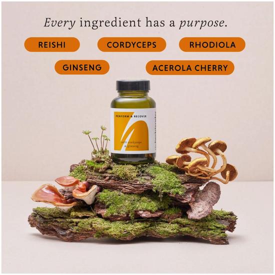 The Herbtender Perform & Recover Capsules 60 Capsules