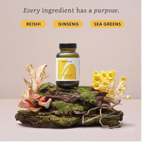 The Herbtender Rise & Shine Capsules 60 Capsules