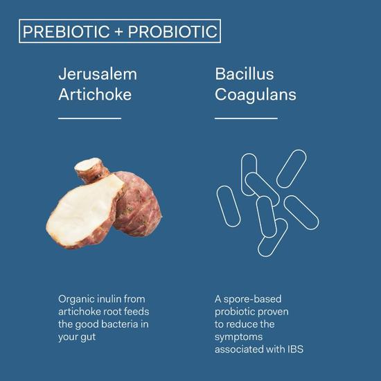 The Nue Co. Prebiotic + Probiotic Capsules 60 Capsules