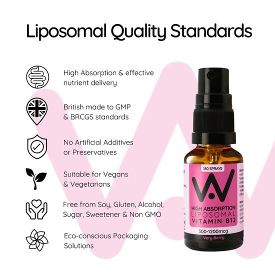 Well Actually Vitamin B12 Methycobalamin 300mcg Berry Spray 25ml