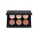 Anastasia Beverly Hills Pro Series Contour Kit