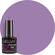 Parma Violet