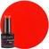 Scarlet Sensation