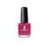 Festival Fuschia