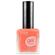 KNP004 Soft & Tender