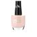 Creamy Rose