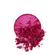 Funky Fushia