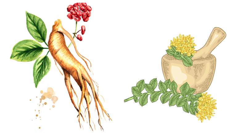 Adaptogenic collage