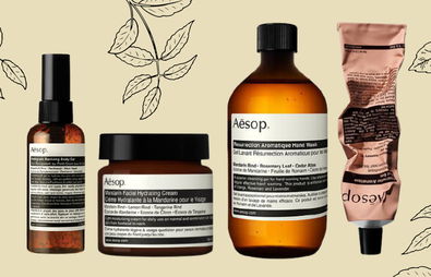 The Beginner's Guide to Aesop