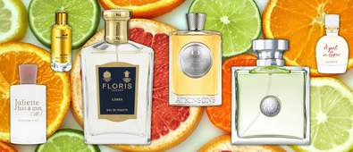 Citrus perfumes cover