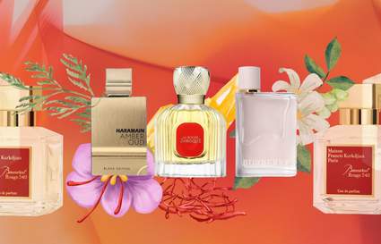 Baccarat Rouge Dupes blog
