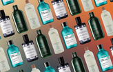 best shampoo for greasy hair blog